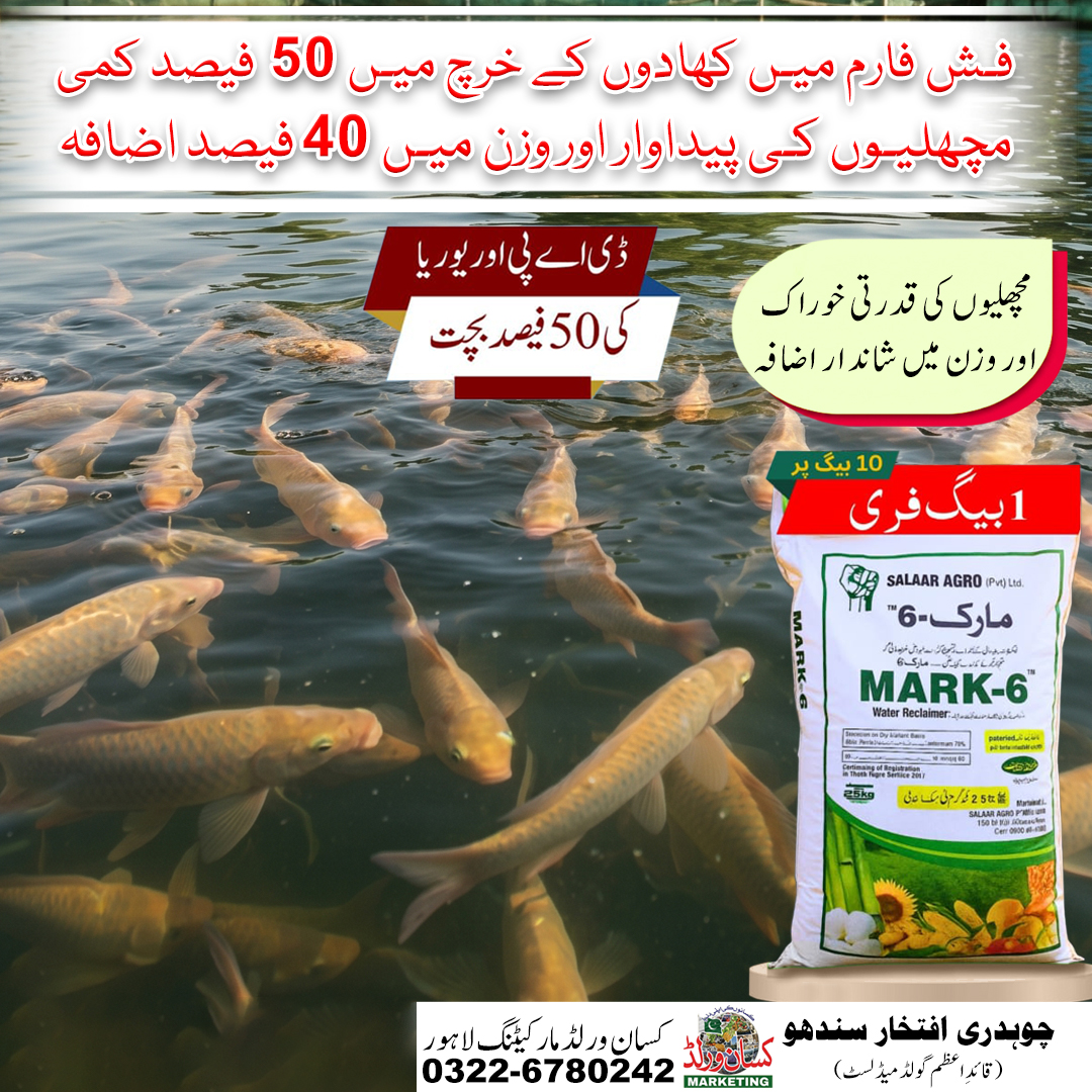 Mark 6 fertilizer for fish farms – Mark-6 25kg bag with fish pond, KISANWORLD Marketing Lahore