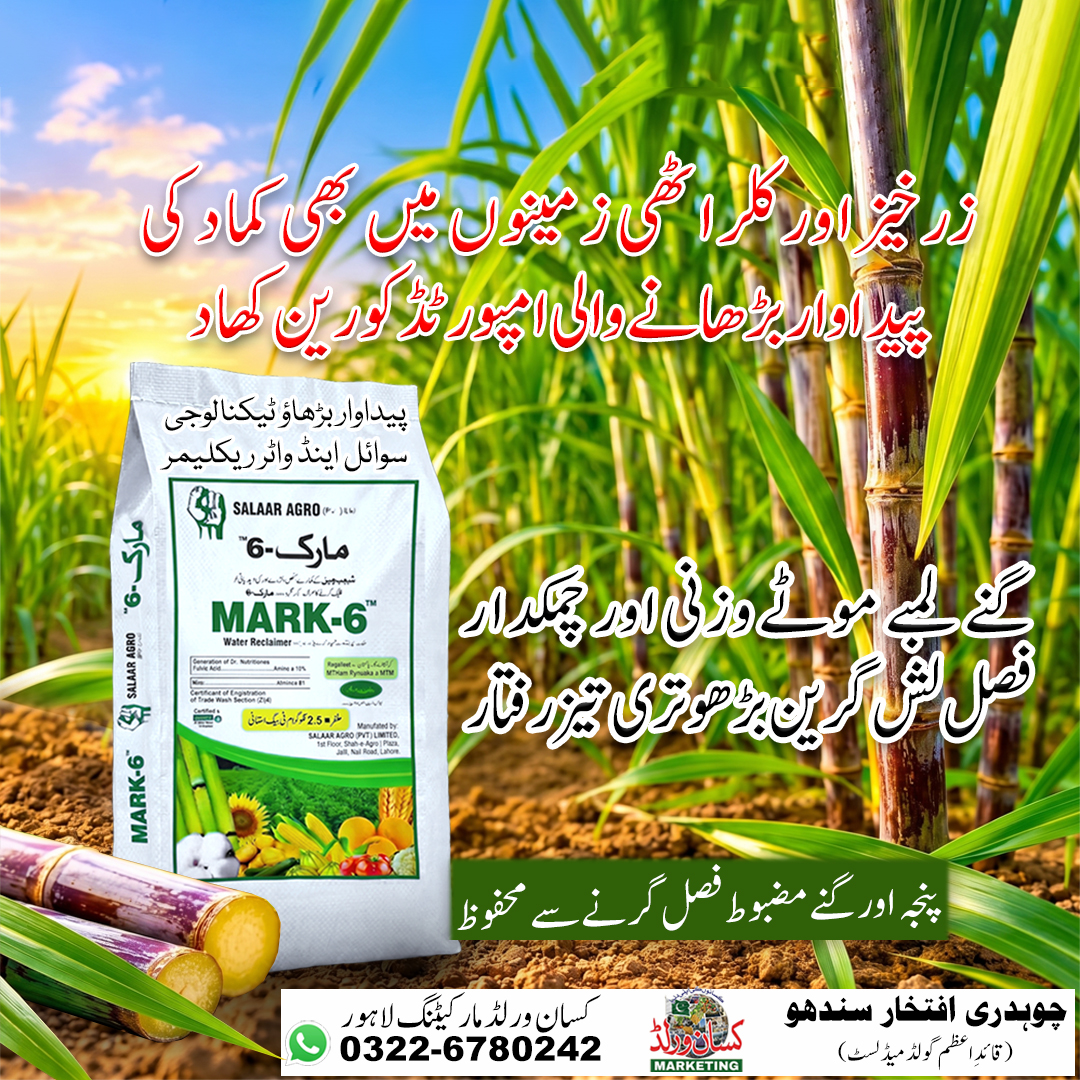Mark6 zeolite fertilizer 25kg pack – مارک 6 کھاد