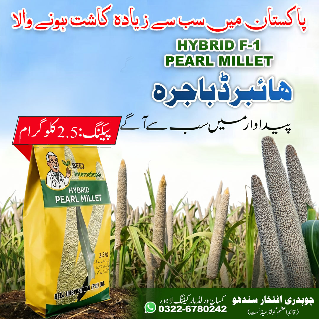 2. Hybrid bajra seed bag label showing variety details and packing 2.5kg