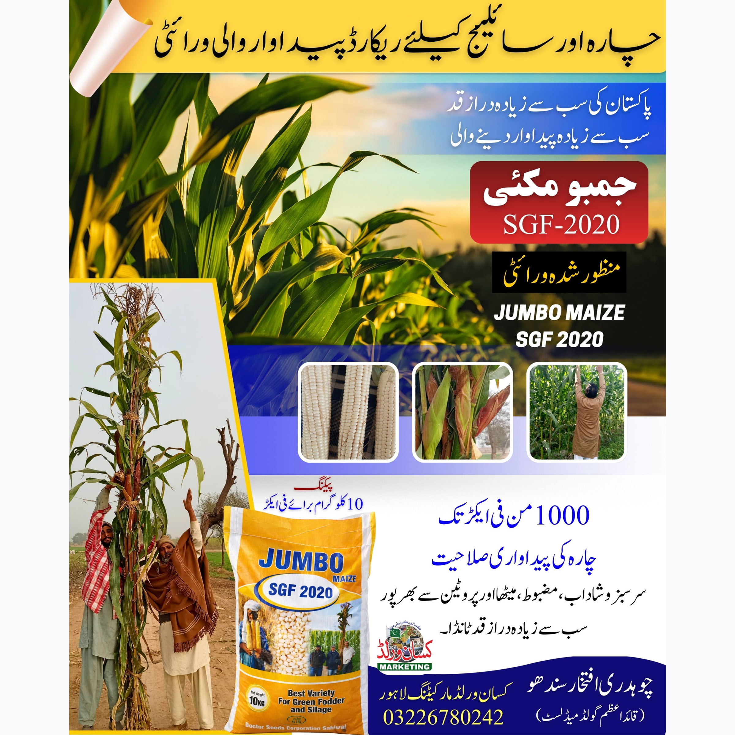 Jumbo Maize SGF-2020 Fodder Seeds 10kg premium silage maize seed bag by KisanWorld Pakistan