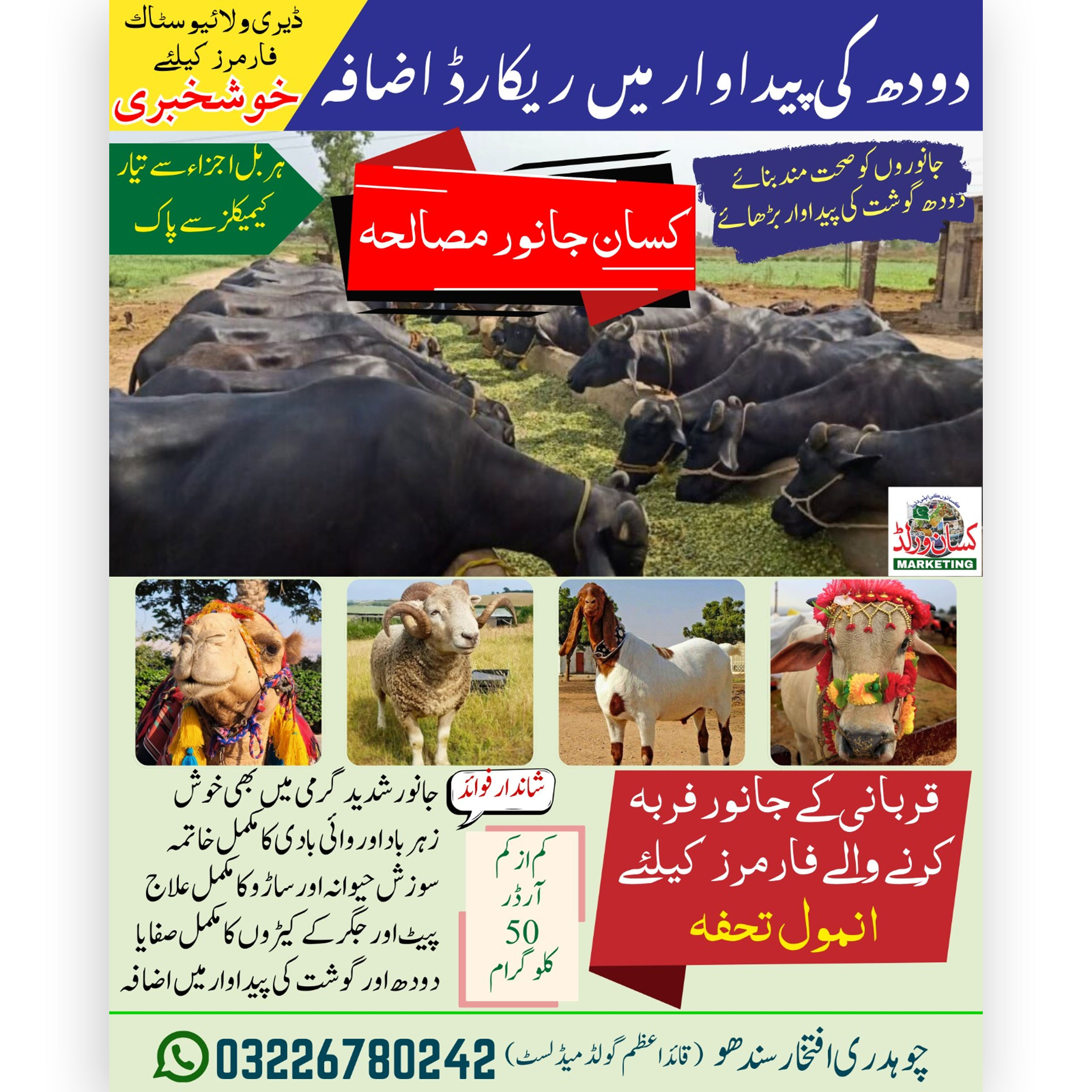 Super Kisan Janwar Masala herbal supplement for buffalo cow goat sheep - increases milk production eliminates bloating natural ingredients Pakistan