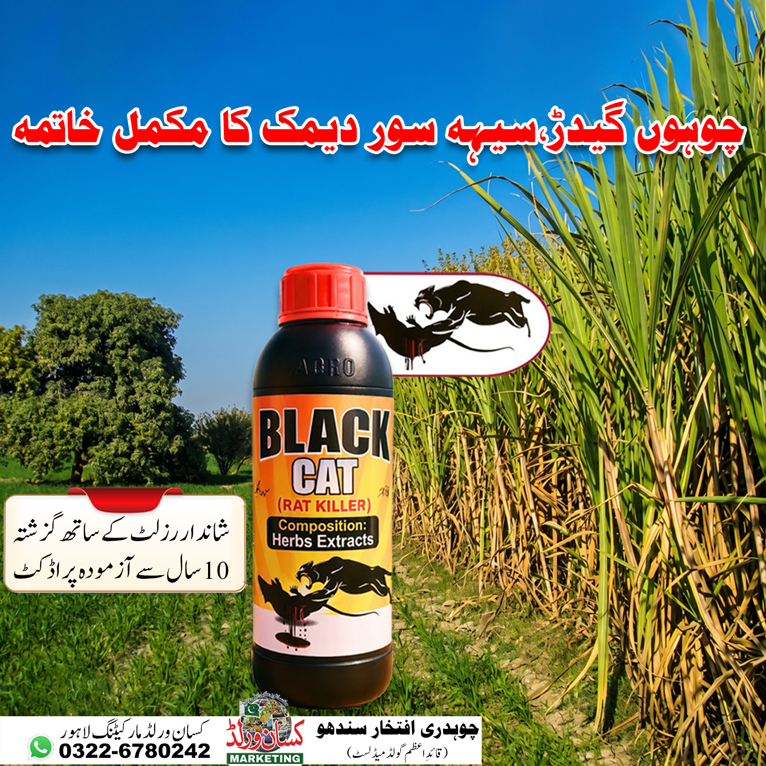 Black Cat Rat Killer bottle label with usage instructions – rodenticide for farms in Pakistan