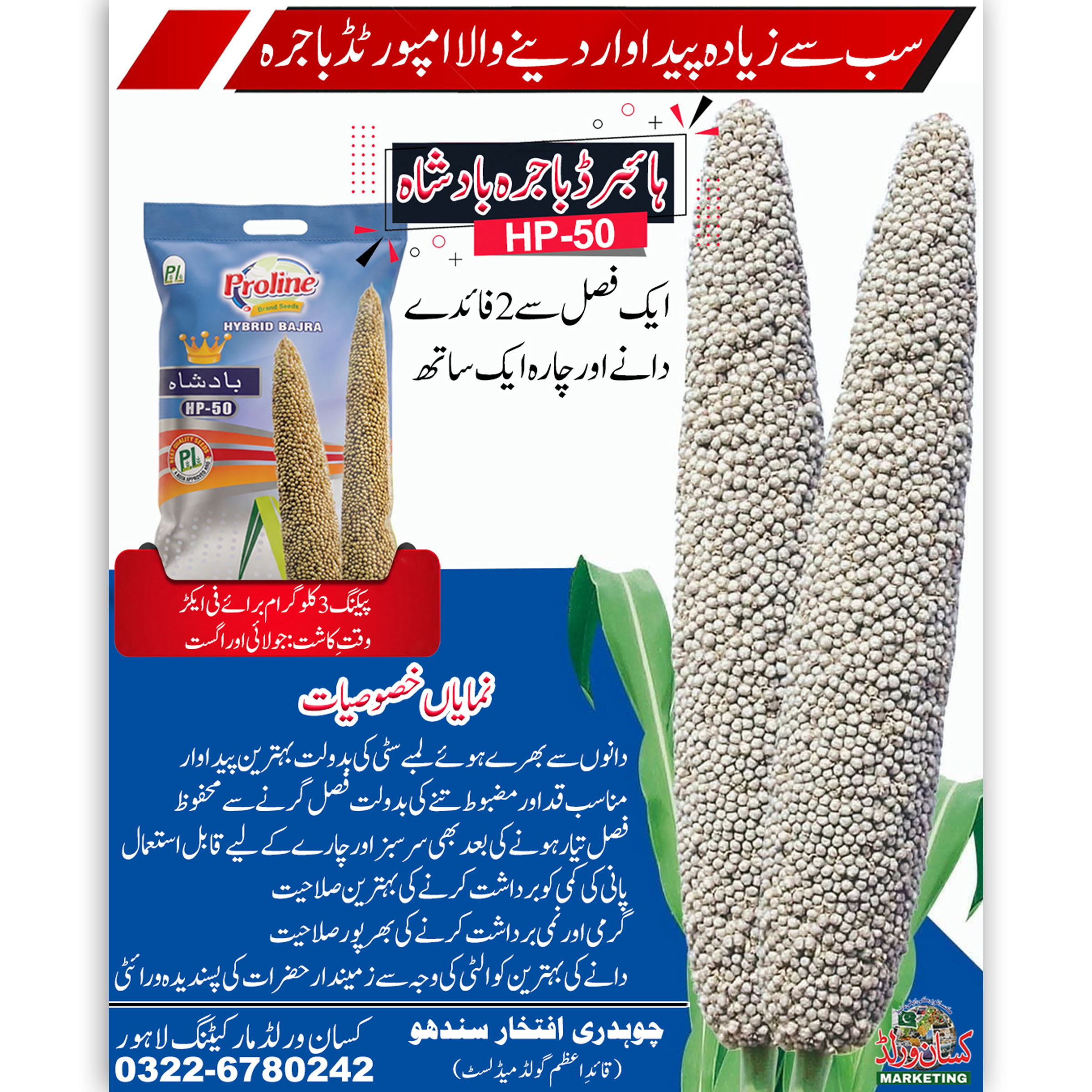 Hybrid Bajra Badshah HP-50 Seeds 3kg by KisanWorld Marketing – high yielding pearl millet seed for grain and fodder production in Pakistan