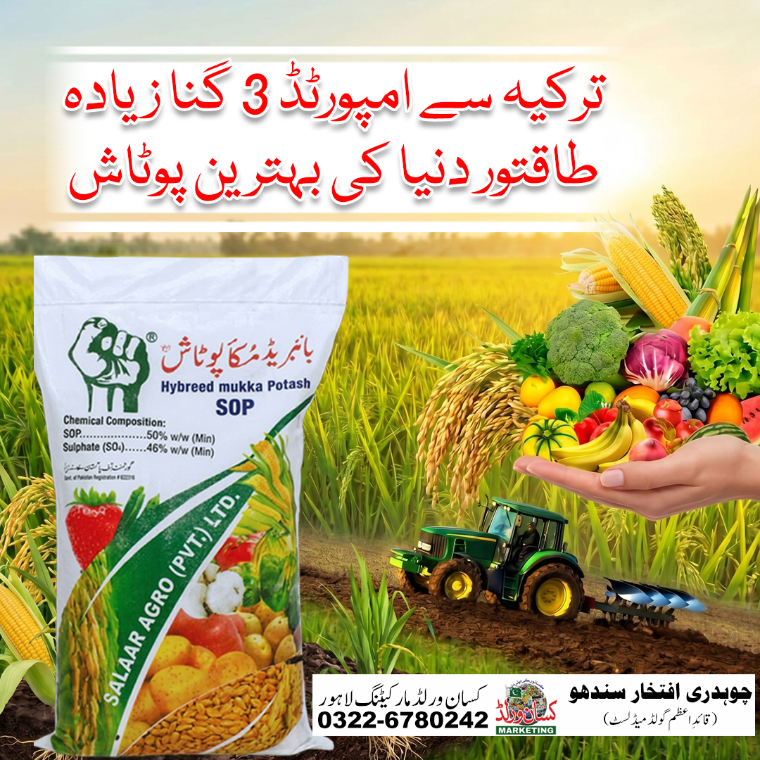 Hybreed Mukka Potash SOP bag label showing 50% potash and 46% sulphate