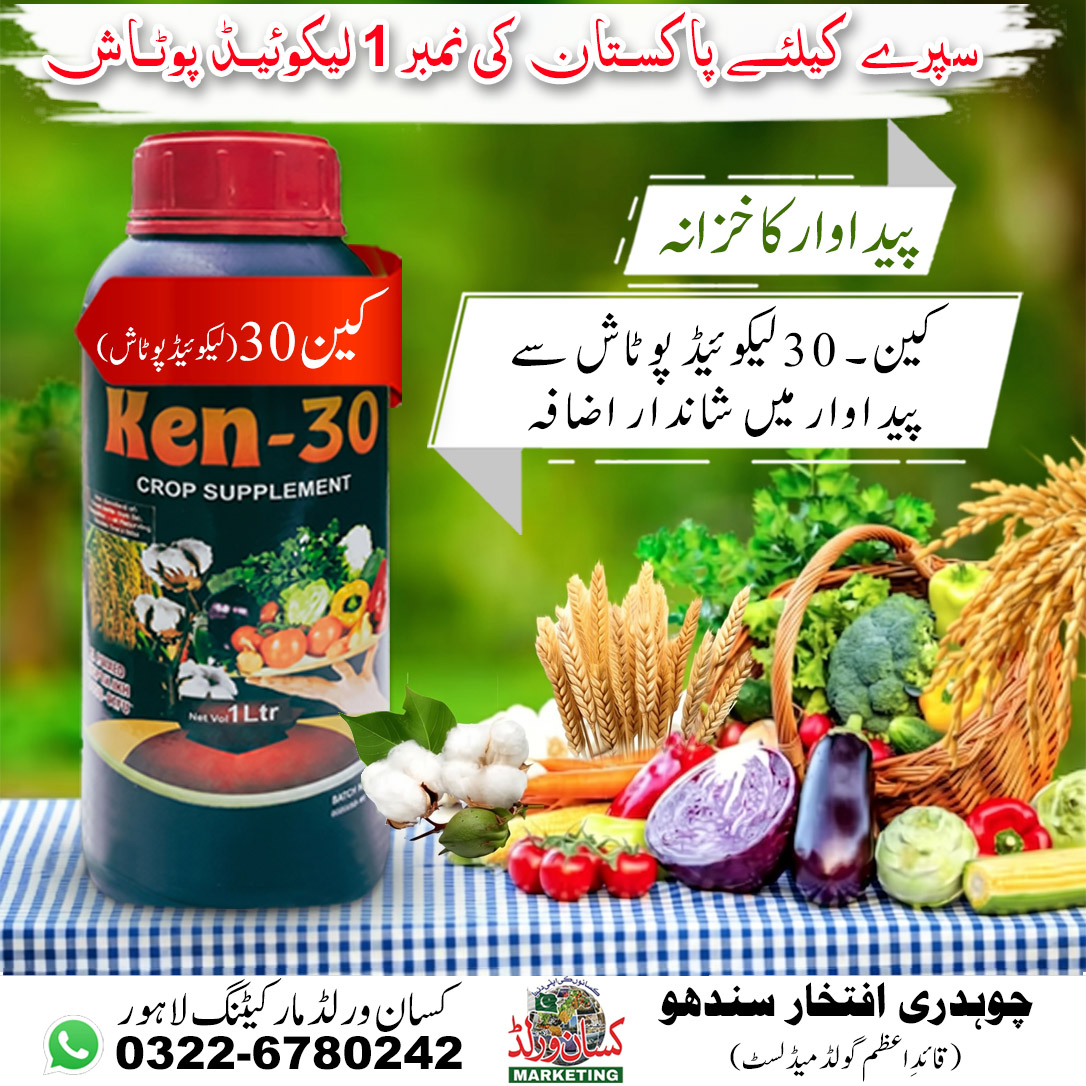 Ken-30 Liquid Potash Crop Supplement 1 litre dark blue bottle with red cap for wheat cotton corn and vegetables in Pakistan