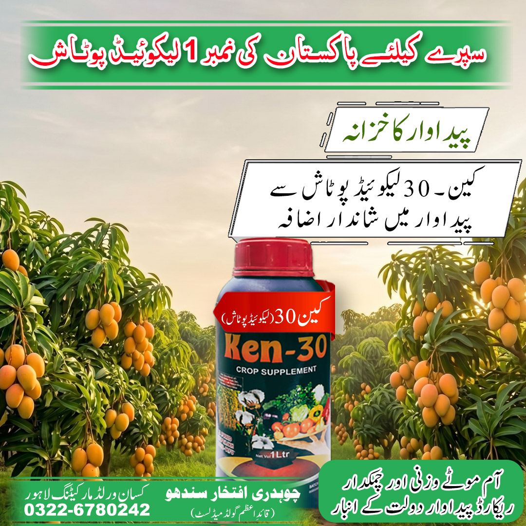 Ken-30 Liquid Potash Crop Supplement 1 litre dark blue bottle with red cap for wheat cotton corn and vegetables in Pakistan